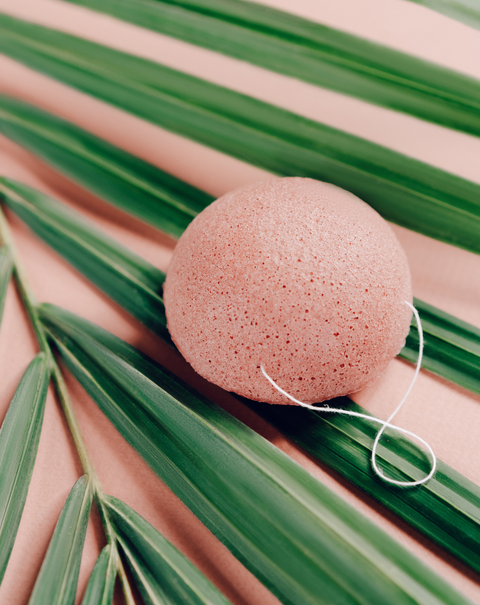 Konjac Sponge